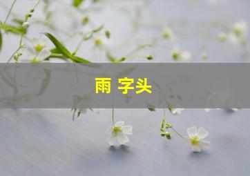 雨 字头